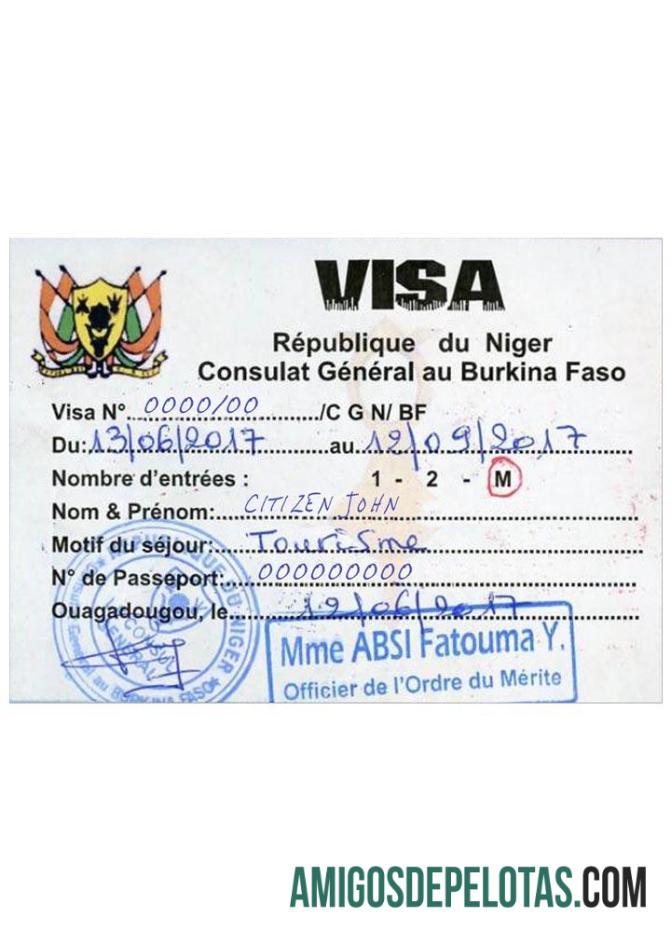 Visto de viagem para o NÍGER exemplo real